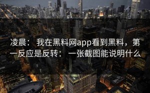 凌晨： 我在黑料网app看到黑料，第一反应是反转： 一张截图能说明什么