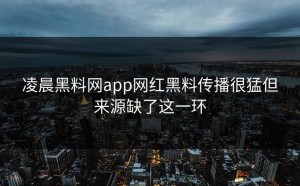 凌晨黑料网app网红黑料传播很猛但来源缺了这一环