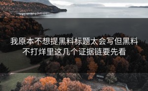 我原本不想提黑料标题太会写但黑料不打烊里这几个证据链要先看