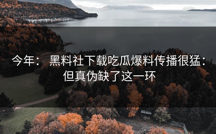 今年： 黑料社下载吃瓜爆料传播很猛： 但真伪缺了这一环