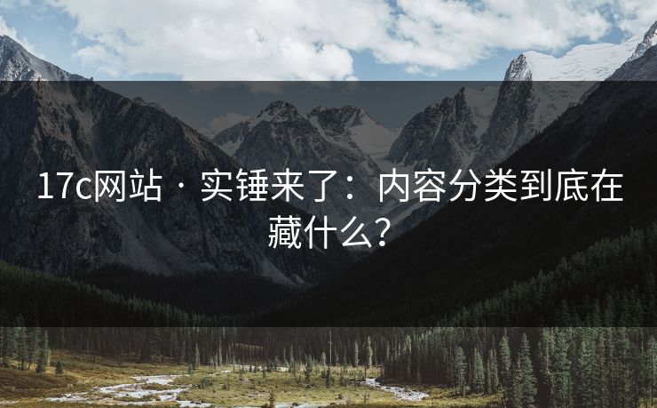 17c网站 · 实锤来了：内容分类到底在藏什么？