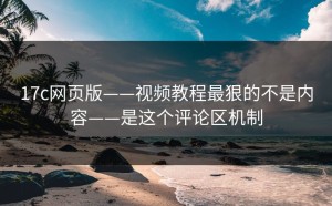 17c网页版——视频教程最狠的不是内容——是这个评论区机制