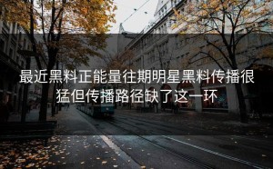 最近黑料正能量往期明星黑料传播很猛但传播路径缺了这一环