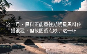 这个月 · 黑料正能量往期明星黑料传播很猛 · 但截图疑点缺了这一环
