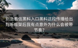 别急着信黑料入口黑料这段传播给出判断框架后我有点意外为什么会被带节奏？