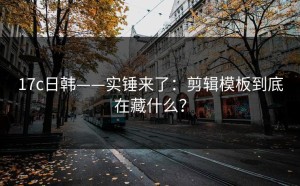 17c日韩——实锤来了：剪辑模板到底在藏什么？